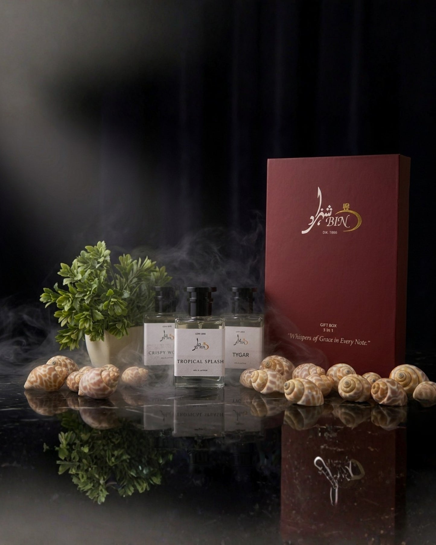 3 in 1 Bestseller Gift Box